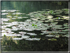 foto Lago di Levico